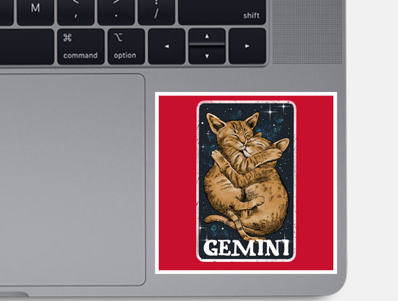 Gemini Cat
