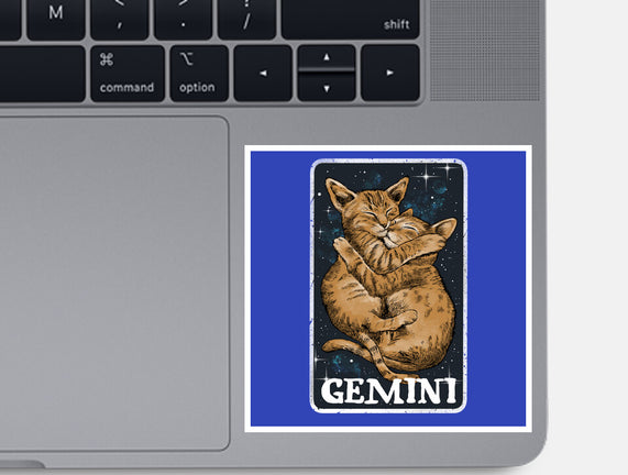 Gemini Cat