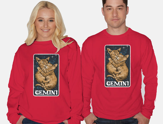 Gemini Cat
