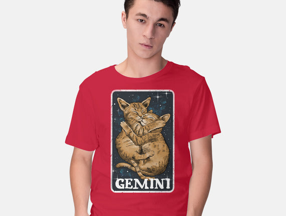 Gemini Cat