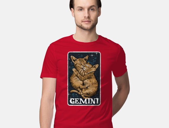 Gemini Cat