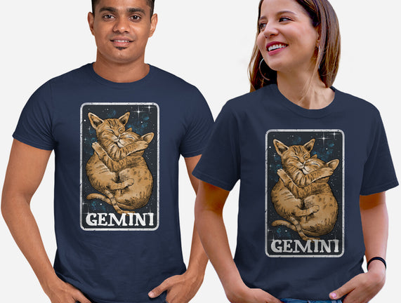 Gemini Cat