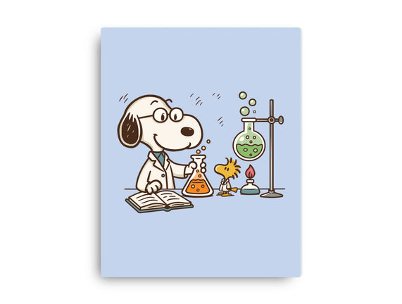 Let's Make Science