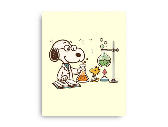 Let's Make Science