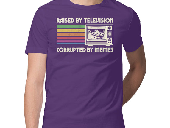 Raised By TV Corrupted By Memes