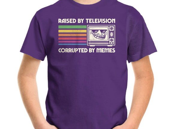Raised By TV Corrupted By Memes