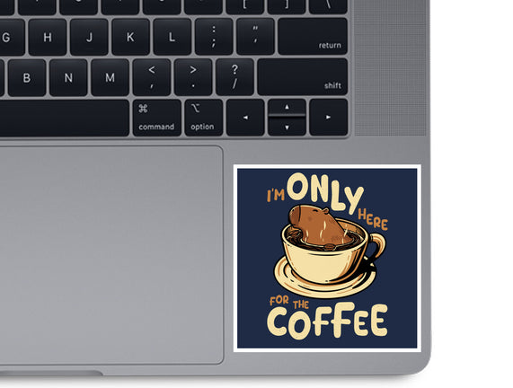 Only For The Coffee