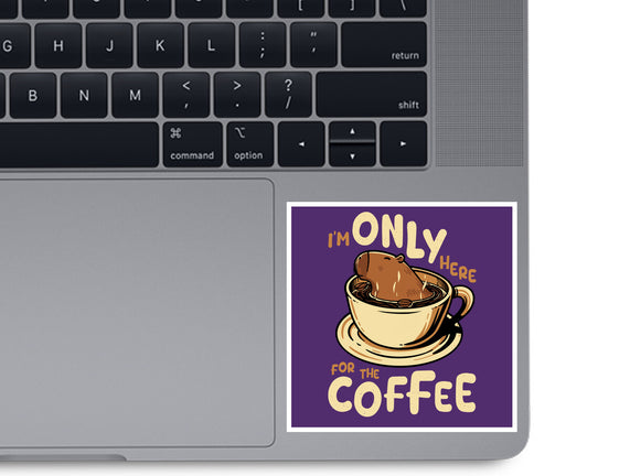 Only For The Coffee