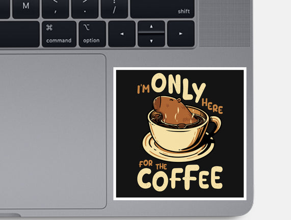 Only For The Coffee