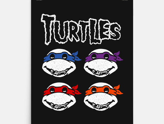 Turtles