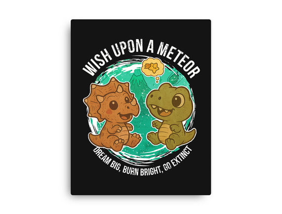 Wishing Upon A Meteor