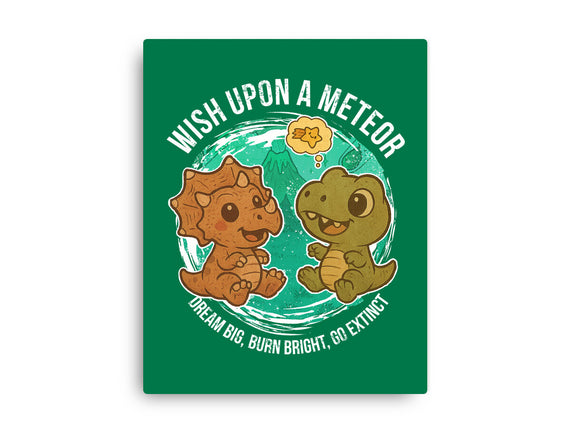 Wishing Upon A Meteor