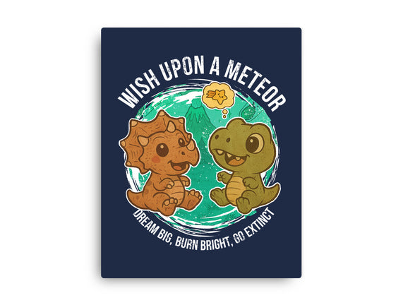 Wishing Upon A Meteor