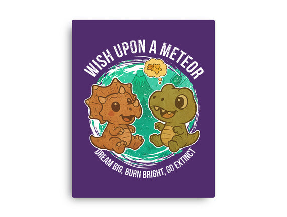 Wishing Upon A Meteor