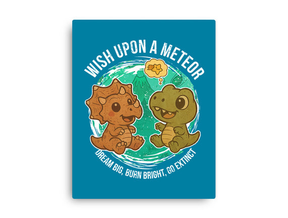 Wishing Upon A Meteor