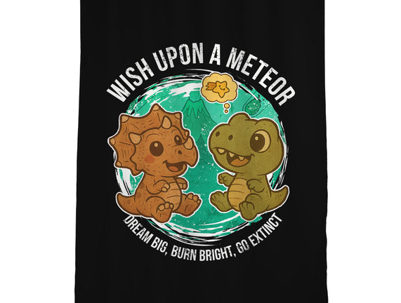 Wishing Upon A Meteor