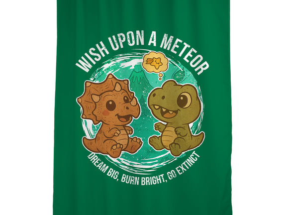 Wishing Upon A Meteor
