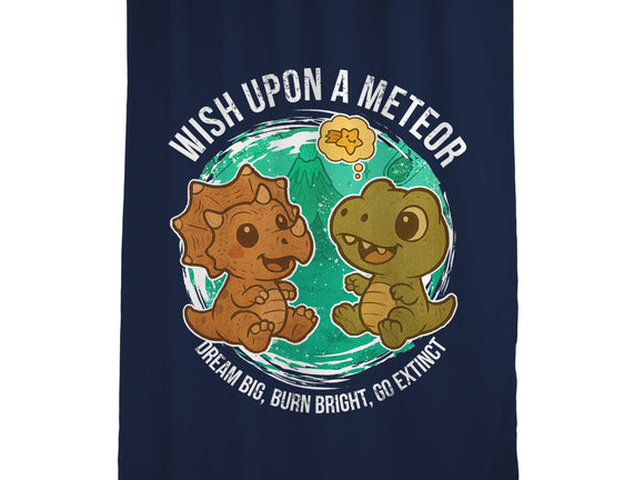 Wishing Upon A Meteor