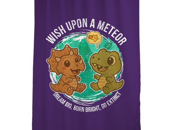 Wishing Upon A Meteor