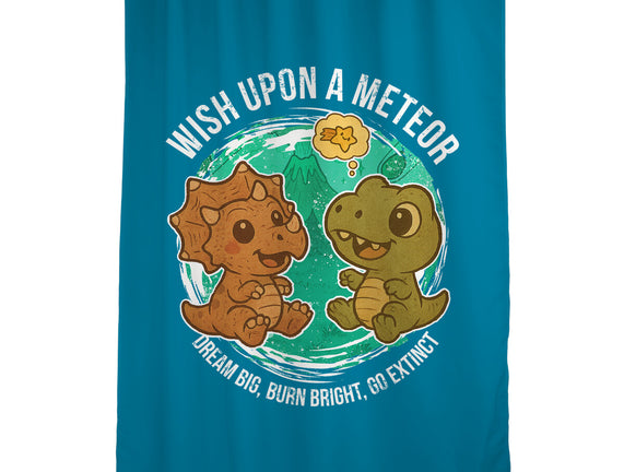 Wishing Upon A Meteor