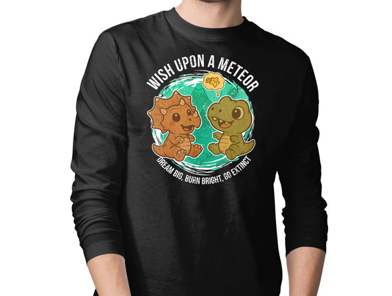 Wishing Upon A Meteor