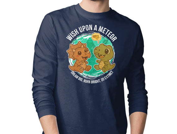 Wishing Upon A Meteor