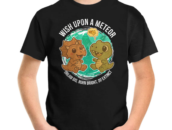 Wishing Upon A Meteor