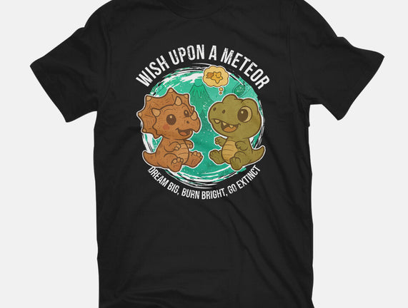 Wishing Upon A Meteor