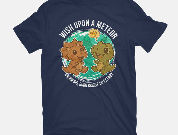 Wishing Upon A Meteor