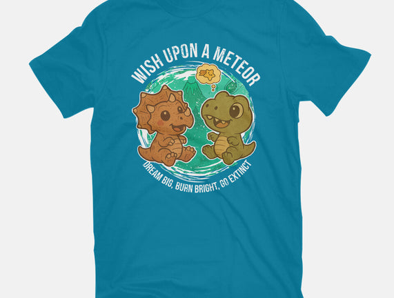Wishing Upon A Meteor