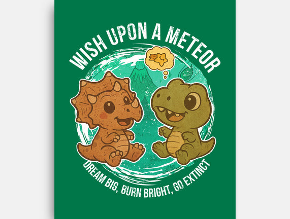 Wishing Upon A Meteor