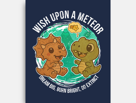 Wishing Upon A Meteor