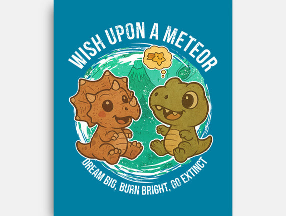Wishing Upon A Meteor