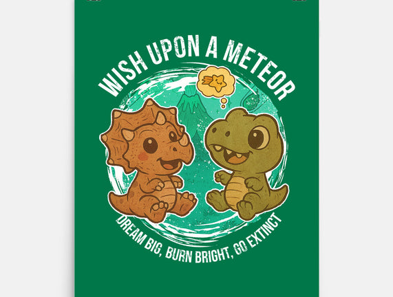 Wishing Upon A Meteor