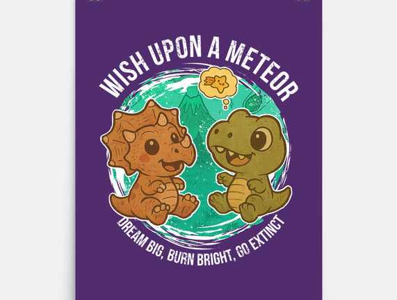 Wishing Upon A Meteor