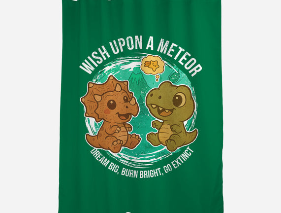 Wishing Upon A Meteor