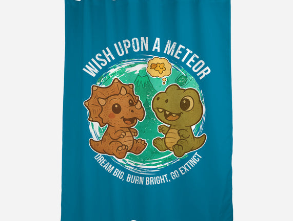Wishing Upon A Meteor