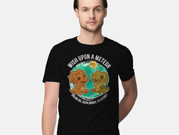 Wishing Upon A Meteor
