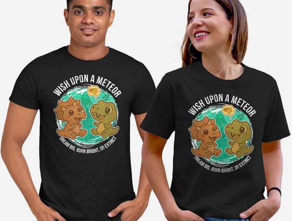 Wishing Upon A Meteor