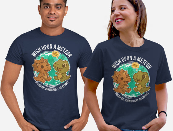 Wishing Upon A Meteor