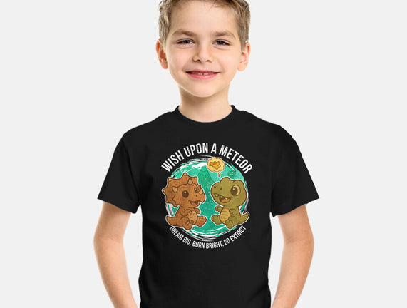Wishing Upon A Meteor