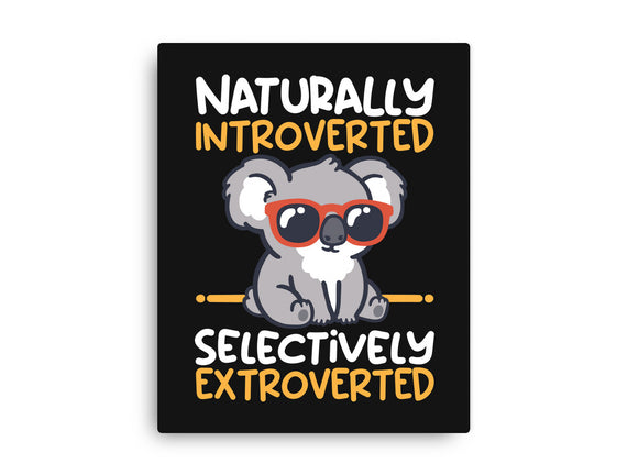 Koala Selectively Extroverted