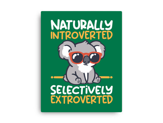 Koala Selectively Extroverted