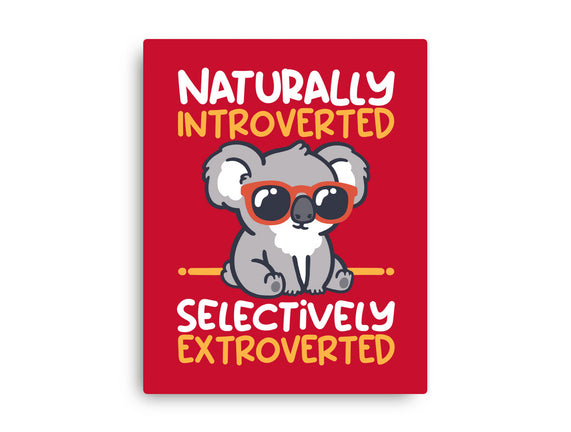 Koala Selectively Extroverted