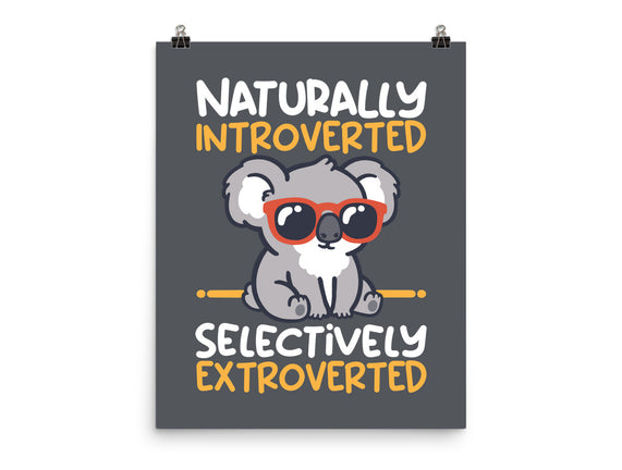Koala Selectively Extroverted