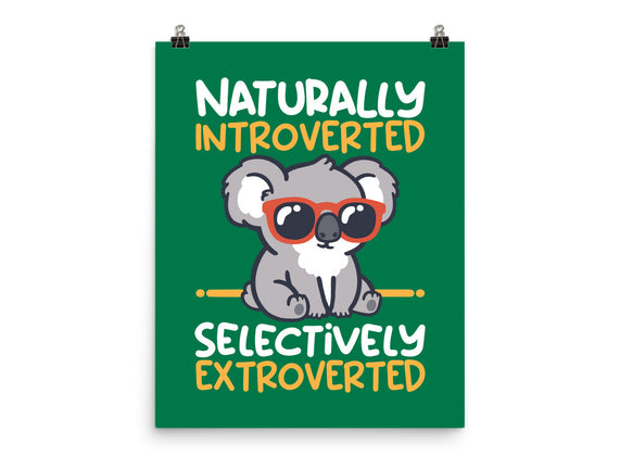 Koala Selectively Extroverted