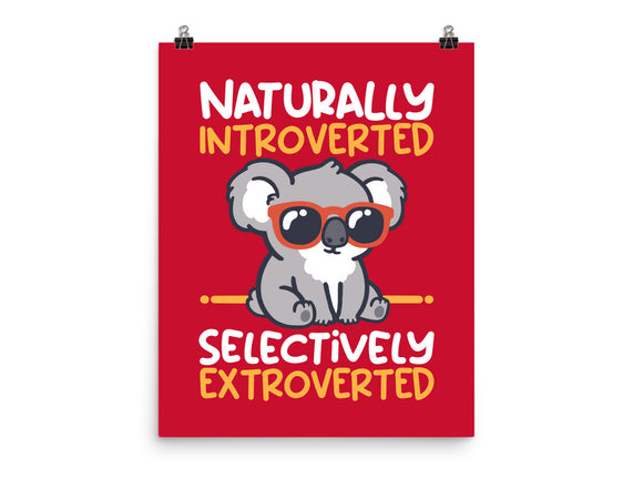 Koala Selectively Extroverted