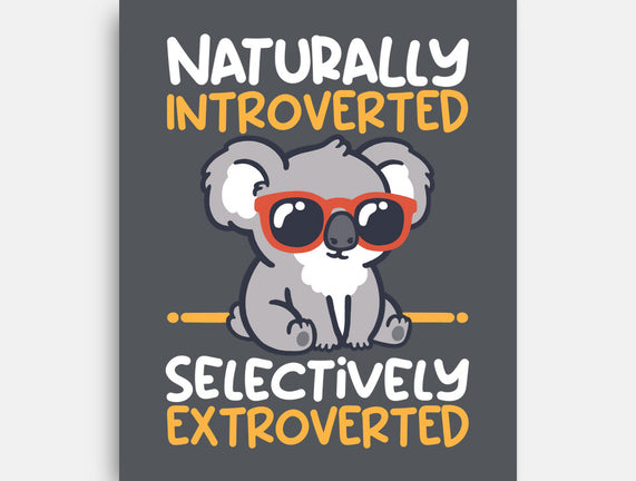 Koala Selectively Extroverted