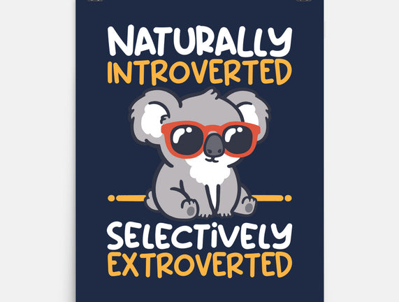 Koala Selectively Extroverted