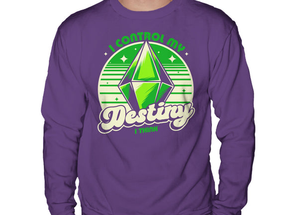 Video Game Destiny